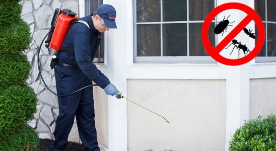 Seydikemer Bit İlaçlama böcek ilaçlama ve haşere kontrolü — ilaclama-tr.com